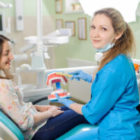 Young female dentist showing dental jaw model to woman patient in dentist's clinic. Smiling woman at dentist sitting in dentist chair. Dentistry